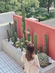 -格调形象