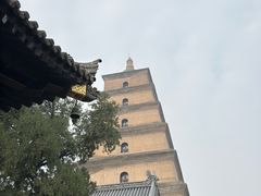 -大慈恩寺(大雁塔)