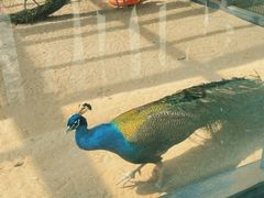 -羊亭河湿地公园