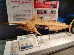 -生命奥秘博物馆
