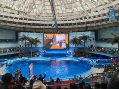 -海合安成都极地海洋公园