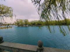 -百脉泉景区