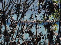 -白帝城·瞿塘峡景区