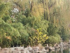 -百脉泉景区