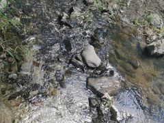-白水寺森林公园