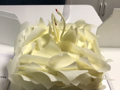 -BLACKSWAN黑天鹅(环球店)