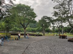 -顺峰山公园