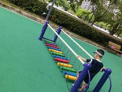 -苏州河梦清园环保主题公园