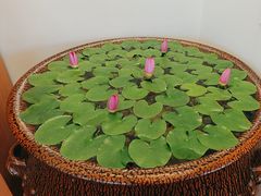 -第六季自助餐厅(北太平庄店)
