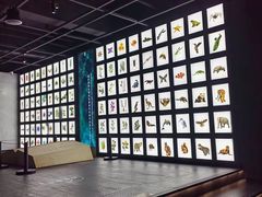 -四川大学博物馆