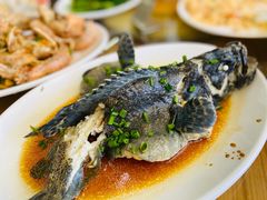 -明记海鲜大排档(巽寮湾店)