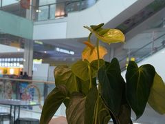 -眉州东坡(华联万柳店)