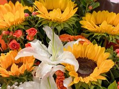 -循礼门鲜花花市(武汉循礼门店)