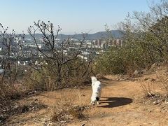 -灵岩山风景区