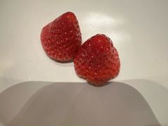 -北京康莱德酒店