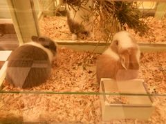 -龙猫仔乐园(惠福东路店)