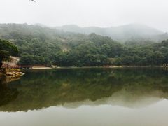 -广州市石门国家森林公园