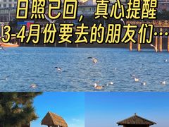 -巧克力渔家.小船海鲜家常菜(万平口店)