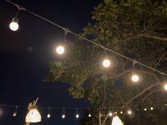 -卷心菜和避孕套餐厅(Pattaya)