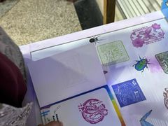 -上海大自然野生昆虫馆(东方明珠·爬宠昆虫探索中心)