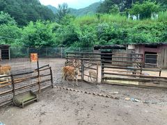 -北京山里寒舍度假酒店