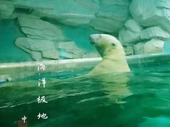 -泉城欧乐堡海洋极地世界