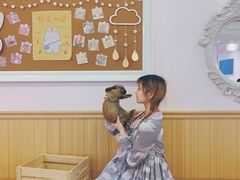 -猫猫幼稚园·撸猫·桌游·电玩