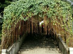 -乌山风景区