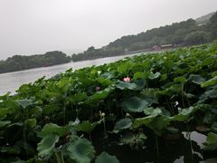 -西湖游船