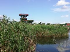 -芒洲湿地公园