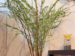 -参差咖啡(水果湖公园店)