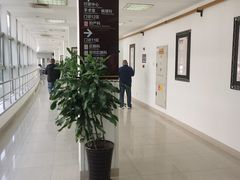 -上海中医药大学附属曙光医院(东部)