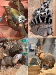 -Zoolung Zoolung动物主题公园(海信广场店)