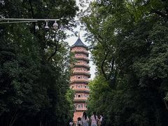 -灵谷景区