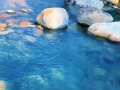 -西安曲江海洋极地公园
