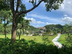 -大屏嶂森林公园