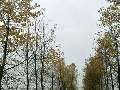 -井冈山风景名胜区