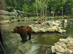 -北京野生动物园