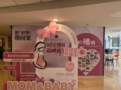 -北京新世纪妇幼医院·产检·分娩·计生(望京院区)