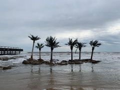 -北戴河碧螺塔海上酒吧公园