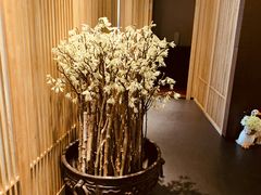 店内布置-悦融·京鲁菜·露台花园(安定门店)