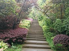 -缙云山景区