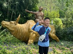 -合肥滨湖国家森林公园