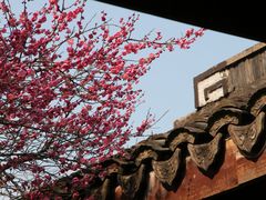 -杭州植物园