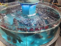 -魏铭鱼头捞饭(晋阳路店)