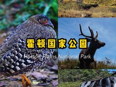 -霍顿平原国家公园