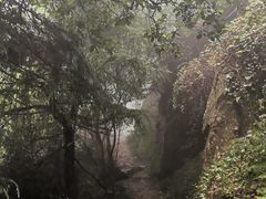 -紫金山索道-售票处