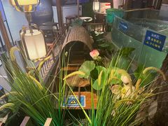 水产区-坛宗剁椒鱼头(河西王府井店)