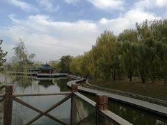 -雁滩公园