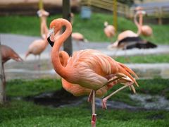 -哈尔滨北方森林动物园